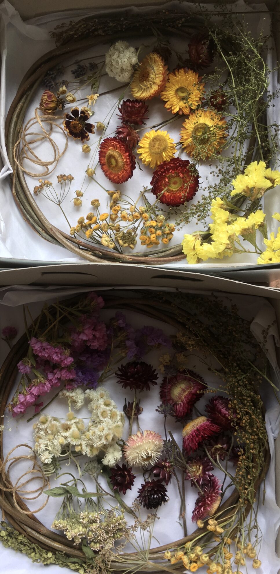 DIY Dried Flower Wreath Kits – Salt Spring Flowers by Tali